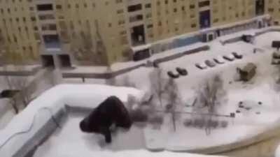 el corazón tucún tucún tucún