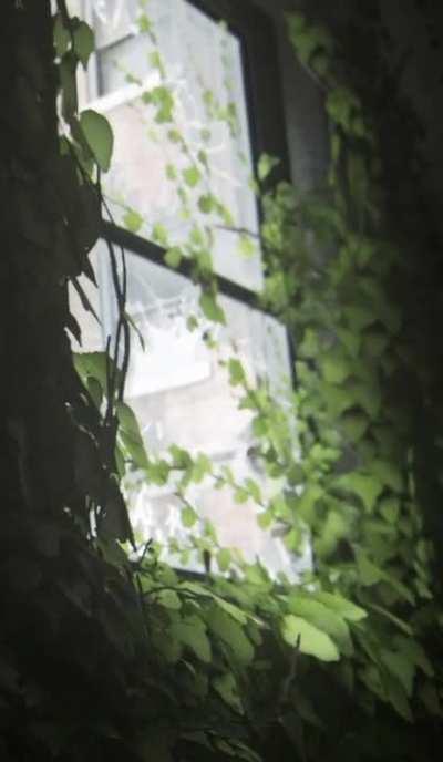 Vined Window