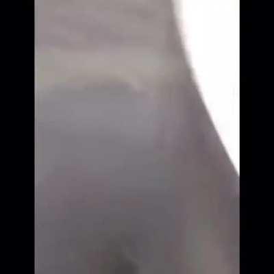 Естественный отбор в мусоропроводе