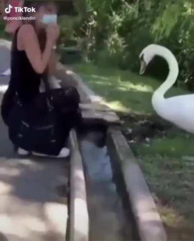 Government drones are being programed to make sure people wear masks