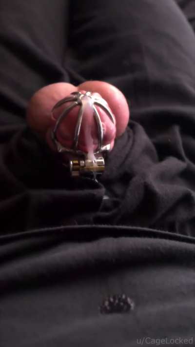 My favorite way to cum now