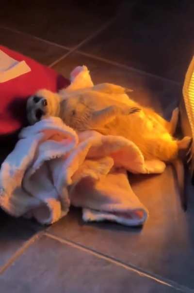 Winter nights be like..