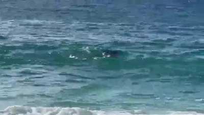 Ke Iki Beach, O’ahu, HI