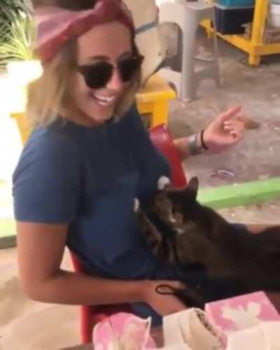 my milkshake brings all the boys to the yard