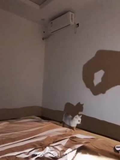 SHADOW MONSTER!