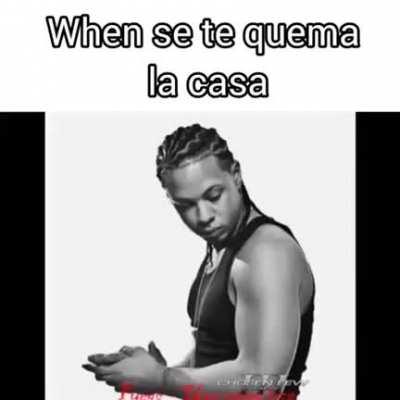 BeelcitosMemes - Video #8504