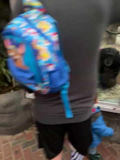 Chimpanzees are shocked by a man's prostetic leg and calling their friends to see it