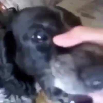 POV: argumenting with the prestige 2 edgy rogangster kid on main game