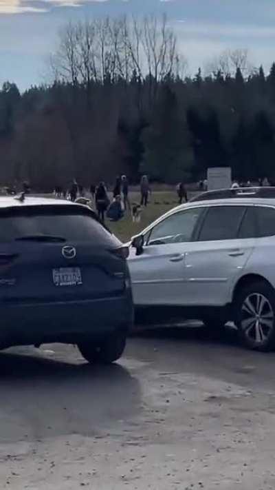 Stages of dealing with Archer doesn't wanna leave the park..1)Standard Request 2)Fake Goodbye 3)Resentment 4)OK, This Is Actually Annoying 5)Bribery