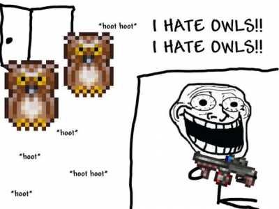 I am sick of owls