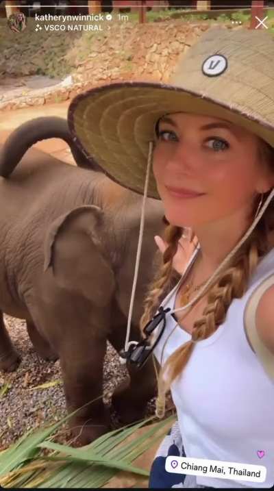 With an elephant in Chiang Mai, Thailand, IG story 2 October 2025