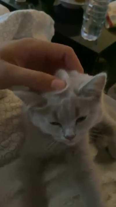 I almost can’t handle how cute she is.