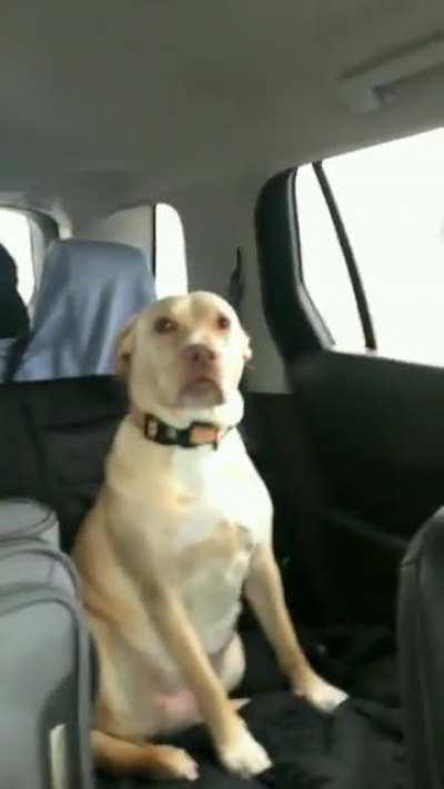 I’m the good one so I deserve more treats.