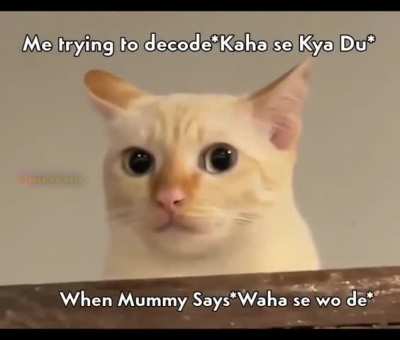 We all have Rohit Sharma arc Mummy at our homes