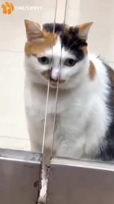 When you’re grounded and all your friends are going out