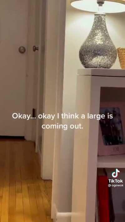 for some reason I imagine nux pooping like this