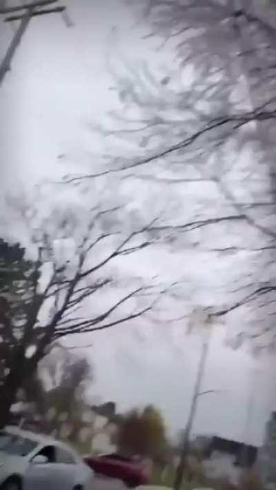 Police officers shoot 3 pit bulls to save man who was viciously attacked. IG @ppv_tahoe