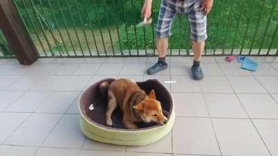 Can't touch this, part 2