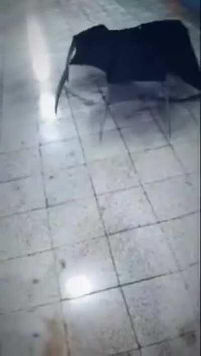 Day 39 posting random crap till I'm happy