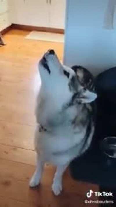 alexa play piano man by billy joel