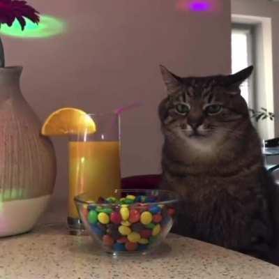 me at any party after five seconds of socializing