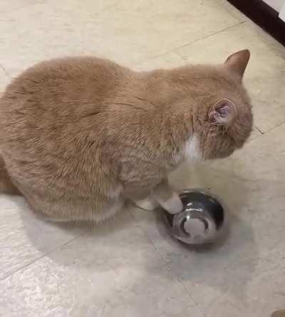 A riot from such rudeness!