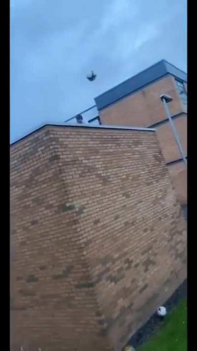 Hitting the motherlode