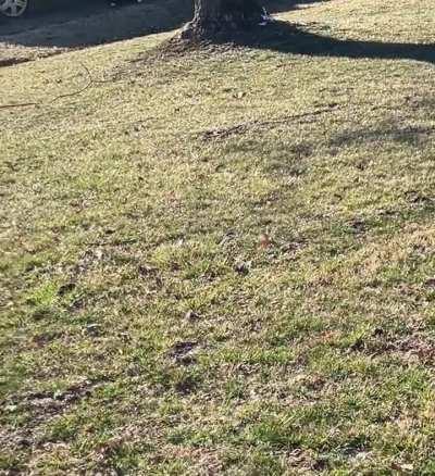 I caught the end of a fight between an Amazon driver and a man driving by in front of my house.