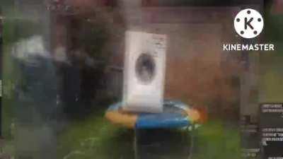 back from the real balls