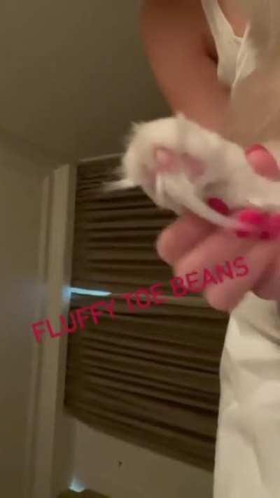 Taylor's Instagram Post for National Cat Day🥰🐱