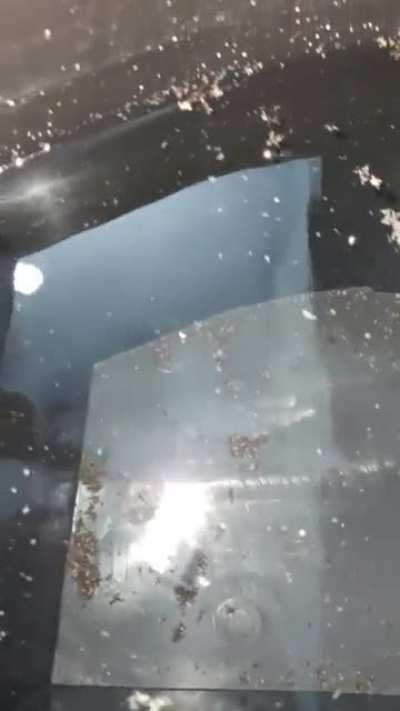 When you open RO purifier water tank to find this