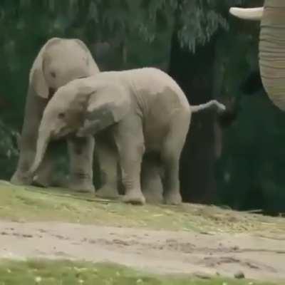 they are just continuisly slipping ...