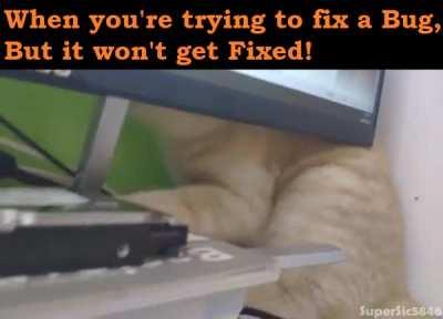 When you try to fix a bug!