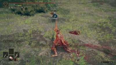 I am the God of Thunder, NARUKAMI