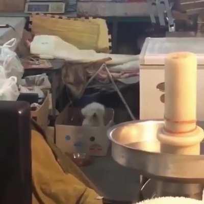 Heavy metal whammies