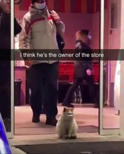 More like the guard... Protector of the Purina... The Furred Crusader... The Paw of Steel... I can go on