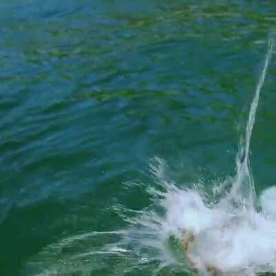 That’s one thick ass of deepika padukone