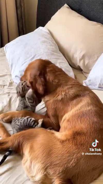 Although it doesn't seem like it, they are best friends hahaha