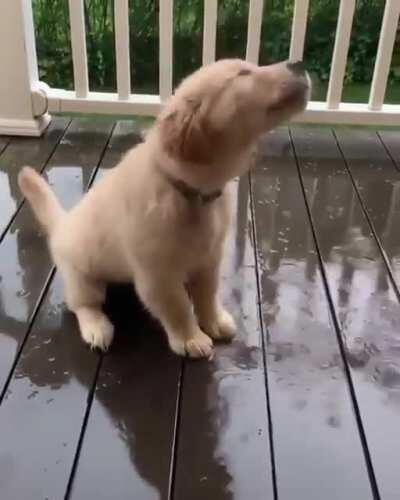 Catching Rain droplets