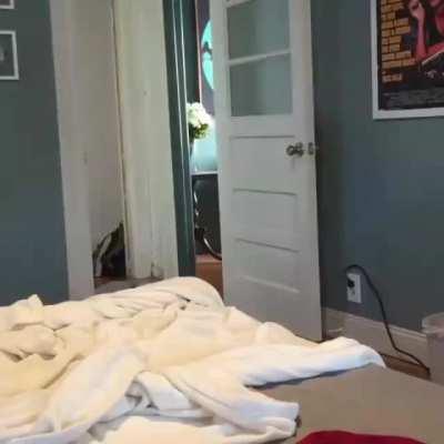 Getting cats involved with this thing...