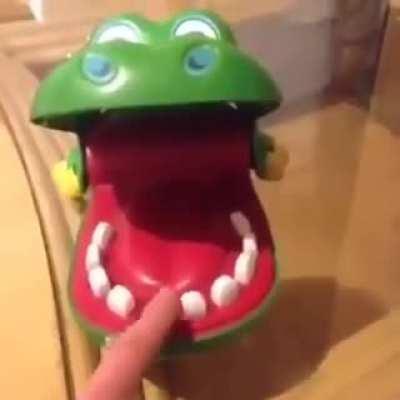 Just a friendly alligator game