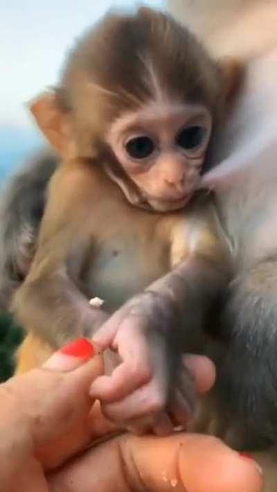 That Made My Day.....