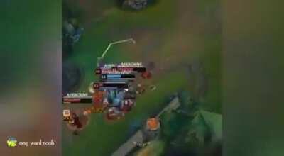 Woodszin - Video #0131