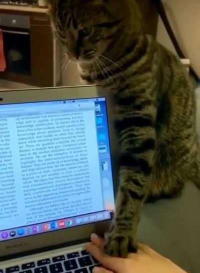 Standard Issue Productivity Manager