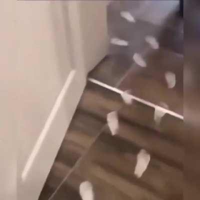 -Love, where is the girl? The girl