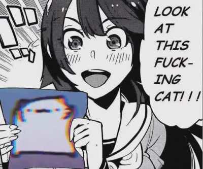 enjoy this vibin cat (this time with music)