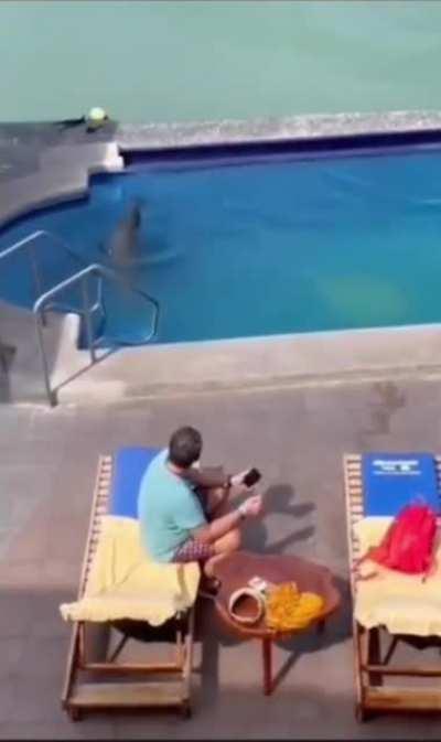 he really made himself at home