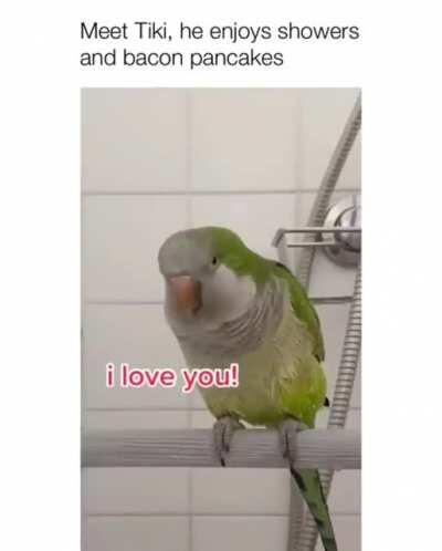 Tiki is showering and enjoying it