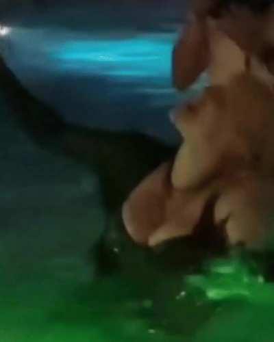 Blonde Billie in pool