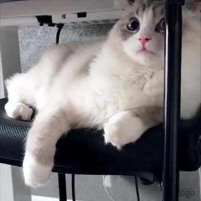 I spent quite a few hours to make this edit. Hope it worth it.